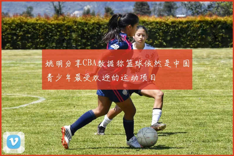 姚明分享CBA数据称篮球依然是中国青少年最受欢迎的运动项目