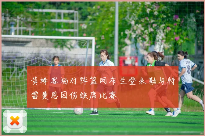 黄蜂客场对阵篮网布兰登米勒与特雷曼恩因伤缺席比赛